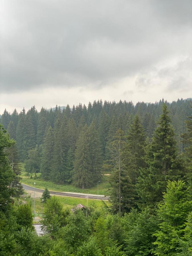 Silver Mountain C24 Royal Poiana Brasov Eksteriør bilde